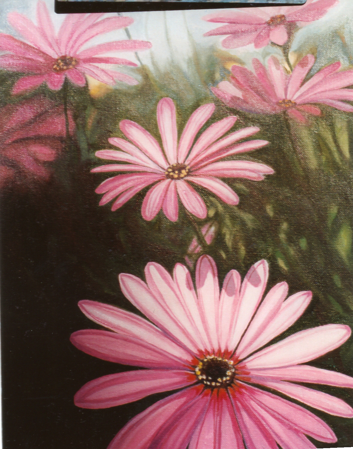 Photograph (8)