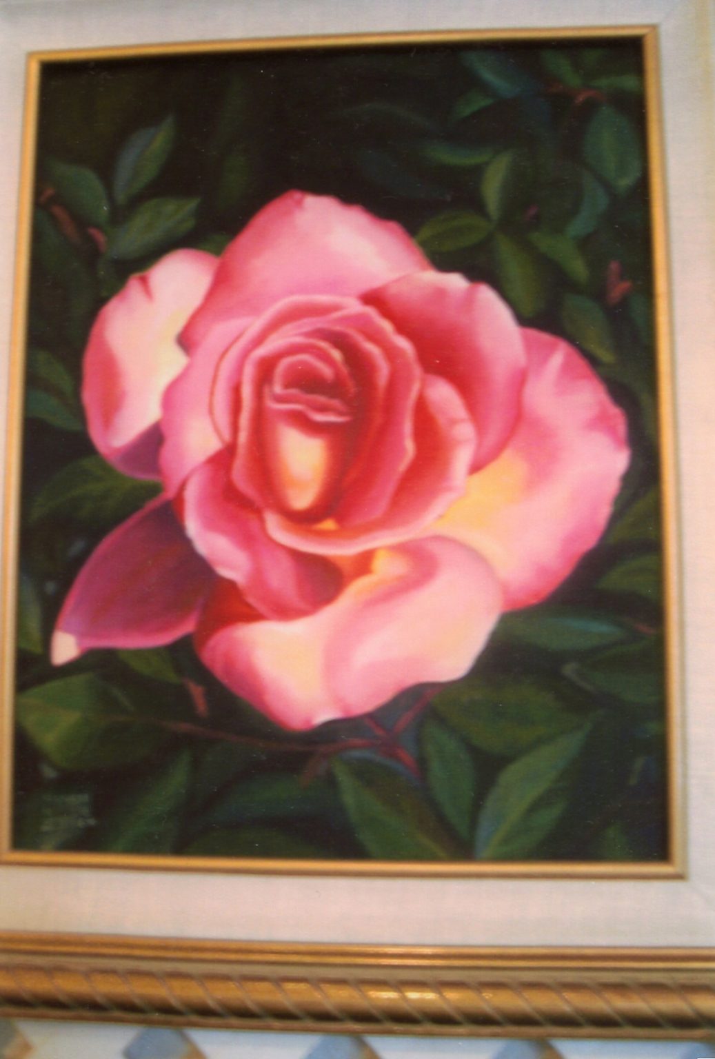 Photograph (9)